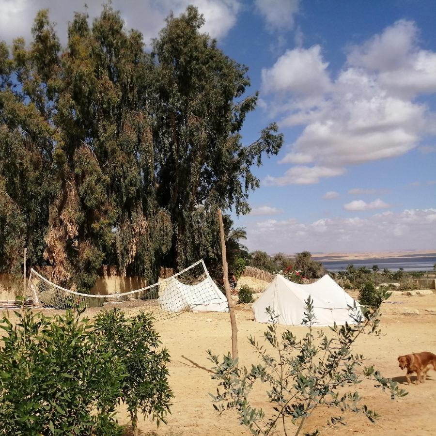 Tunis Village El-Al Fayyūm Chambre photo