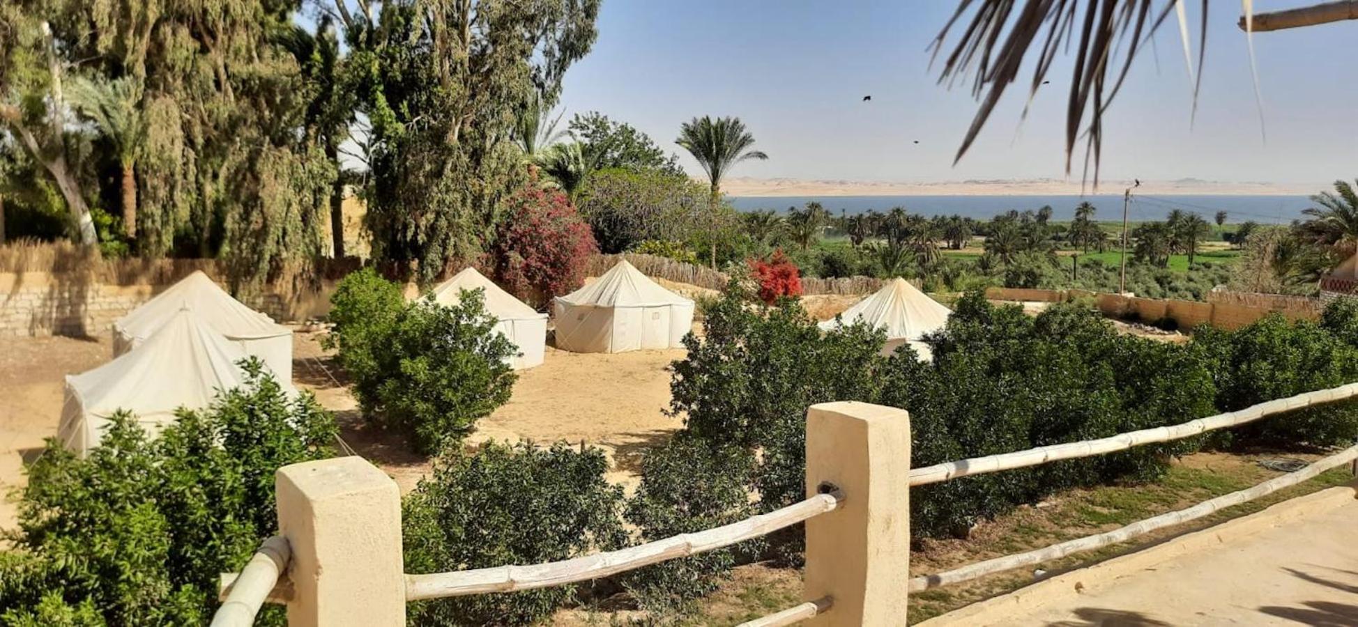 Tunis Village El-Al Fayyūm Extérieur photo